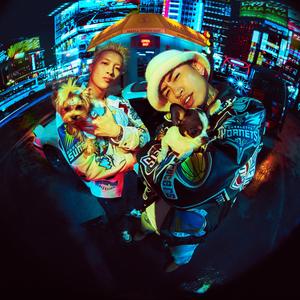 男人插入女人阴道视频
