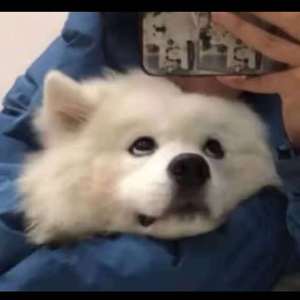 男人插入女人阴道视频
